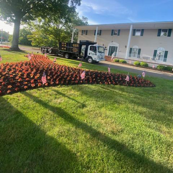 thumbnail_IMG_5698 (1)