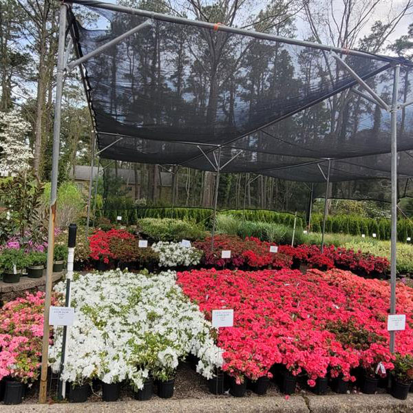 thumbnail_Resized_20220504_182456-1 (1)