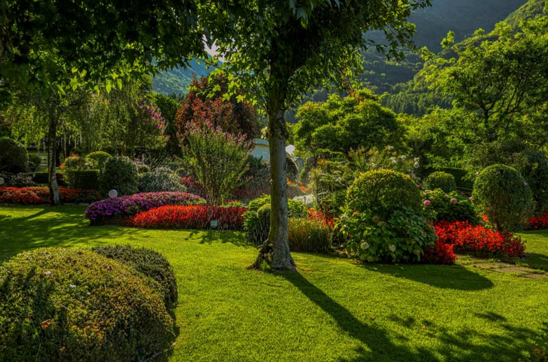 Garden